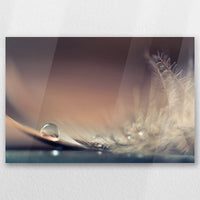 AC-030W020