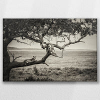 LW-030W020