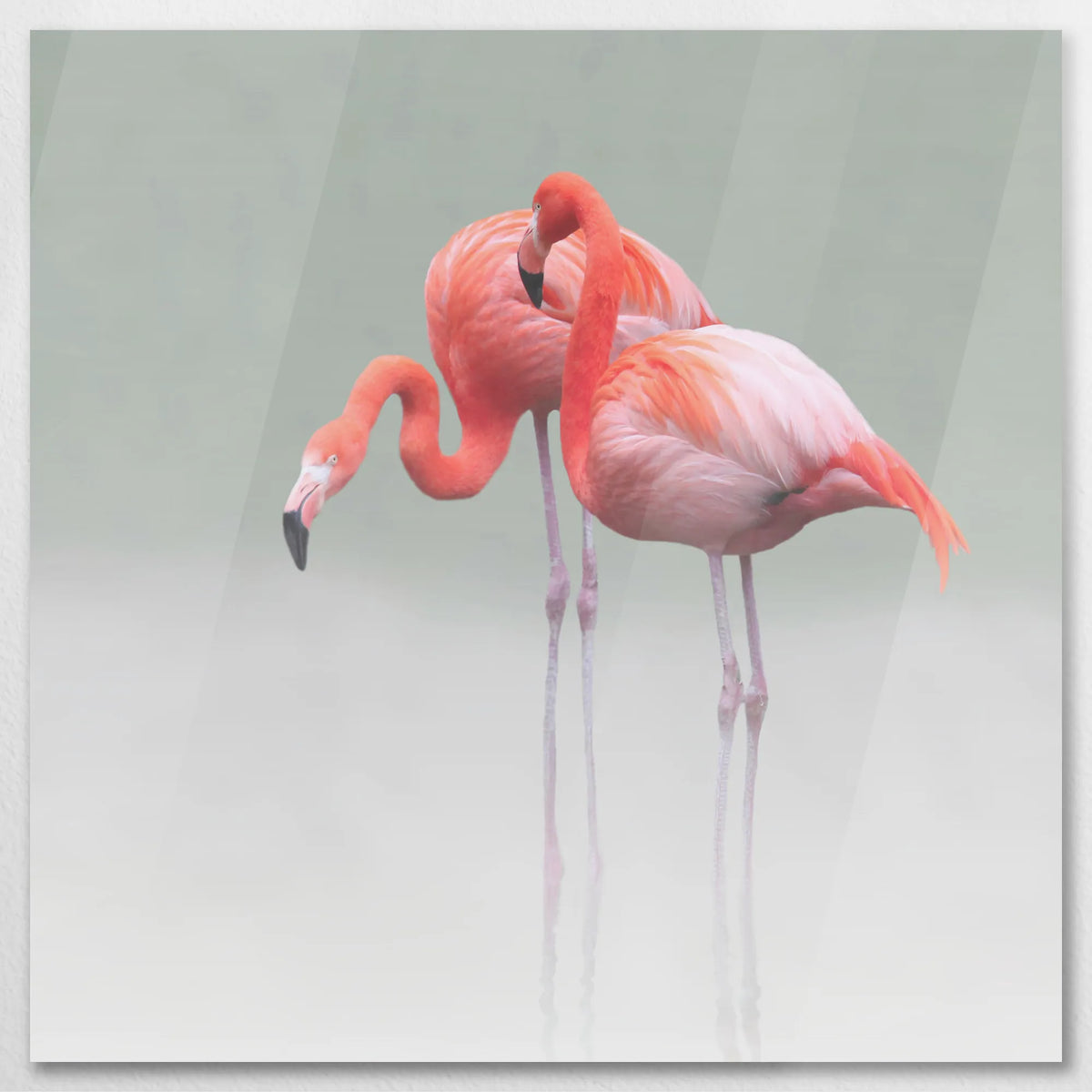 AC-090W090