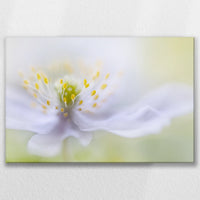LW-075W050