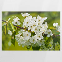 PO-090W060