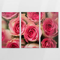 AC-210R140