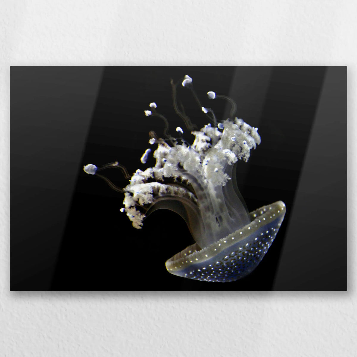 AL-045W030