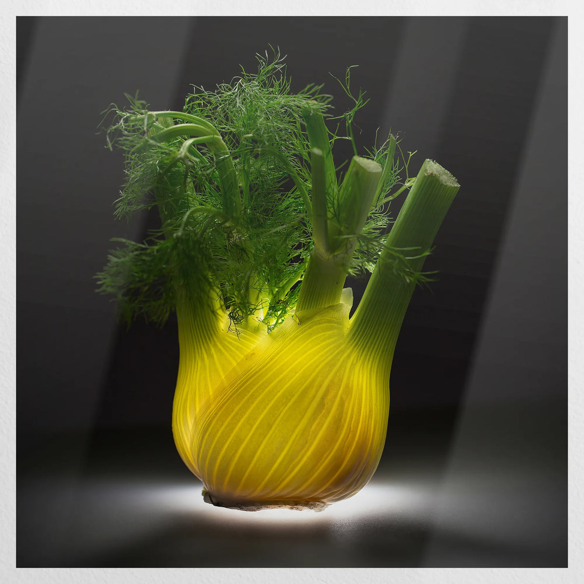 PO-090W090