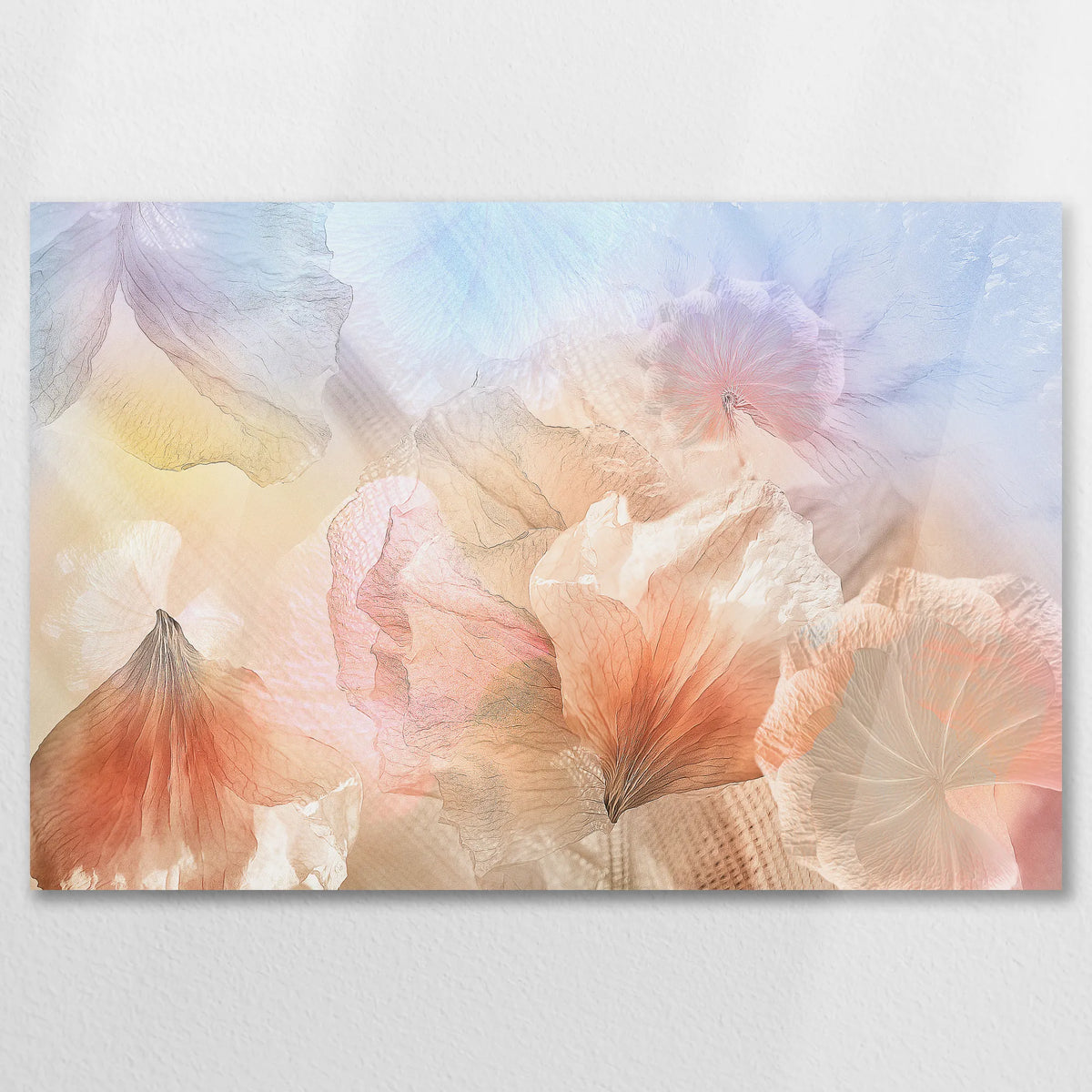 AC-075W050
