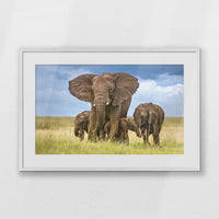 PWP093W062