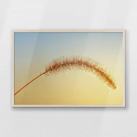 PN-093W062