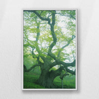 LWW070W100