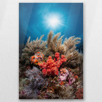 AC-020W030