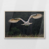 PN-100W070