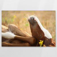 AL-075W050