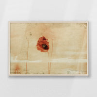 PN-093W062