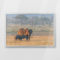 PS-060W040