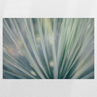 PO-030W020