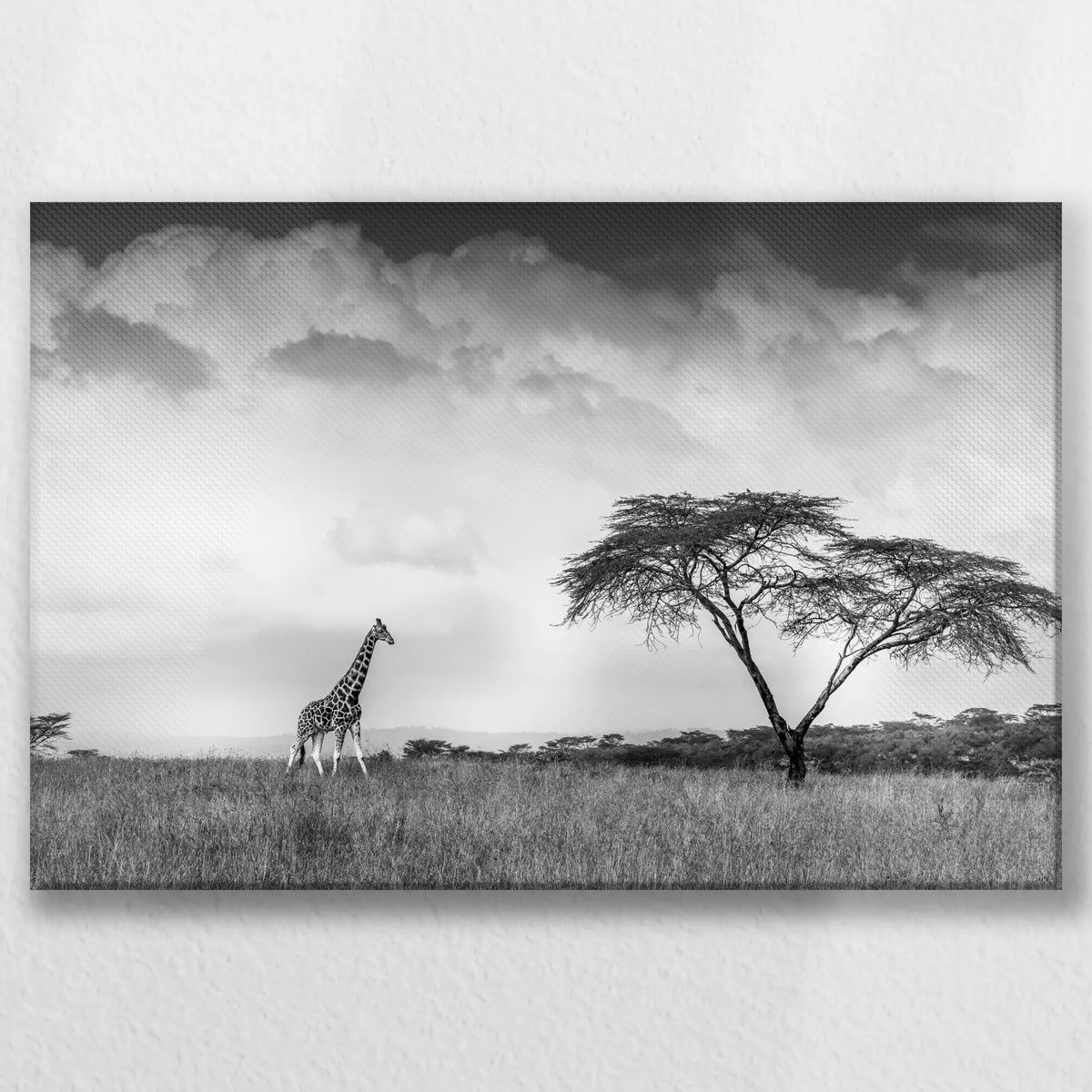 LW-060W040