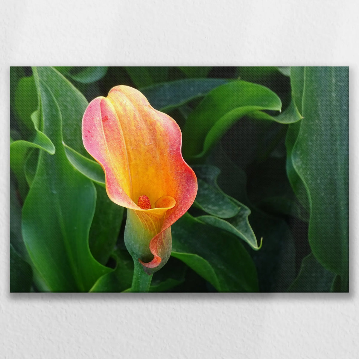 LW-075W050