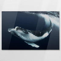 AC-090W060