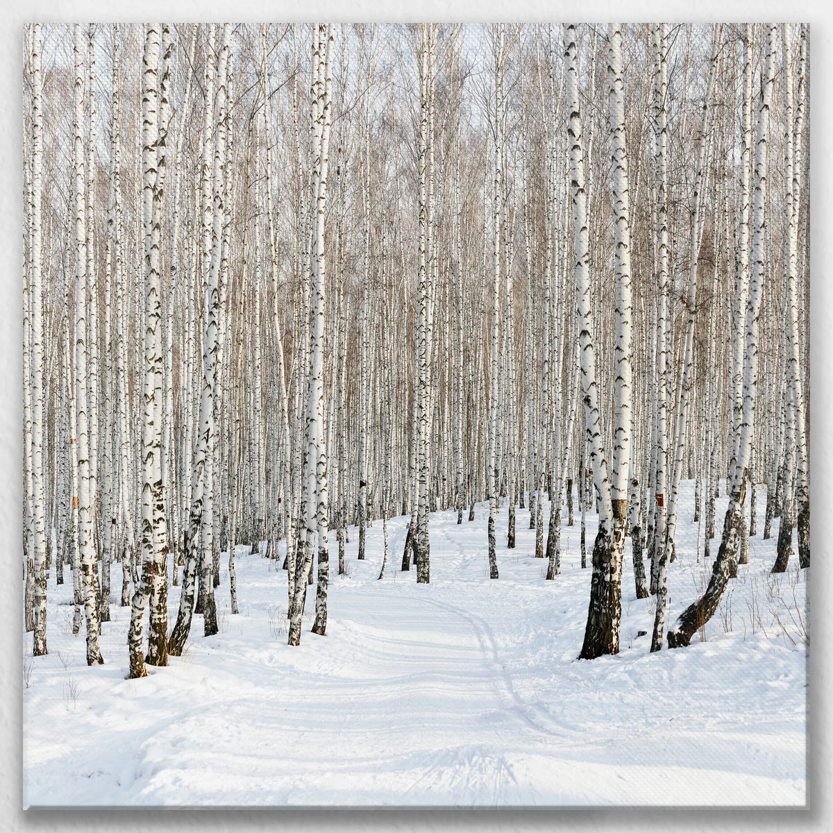 LW-070W070