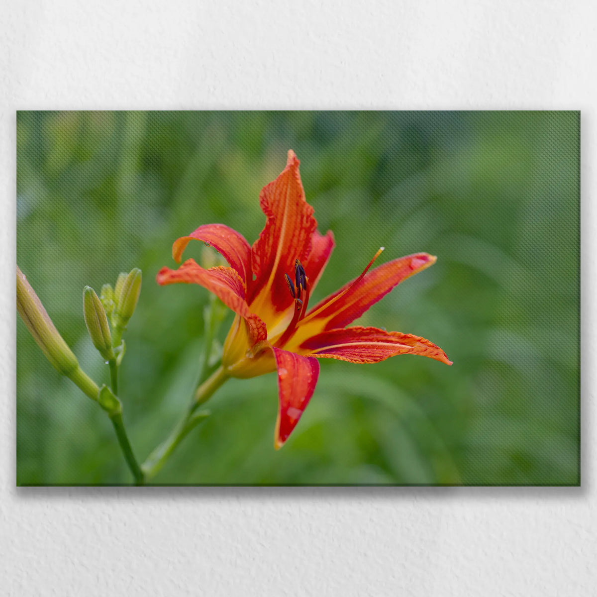 LW-075W050