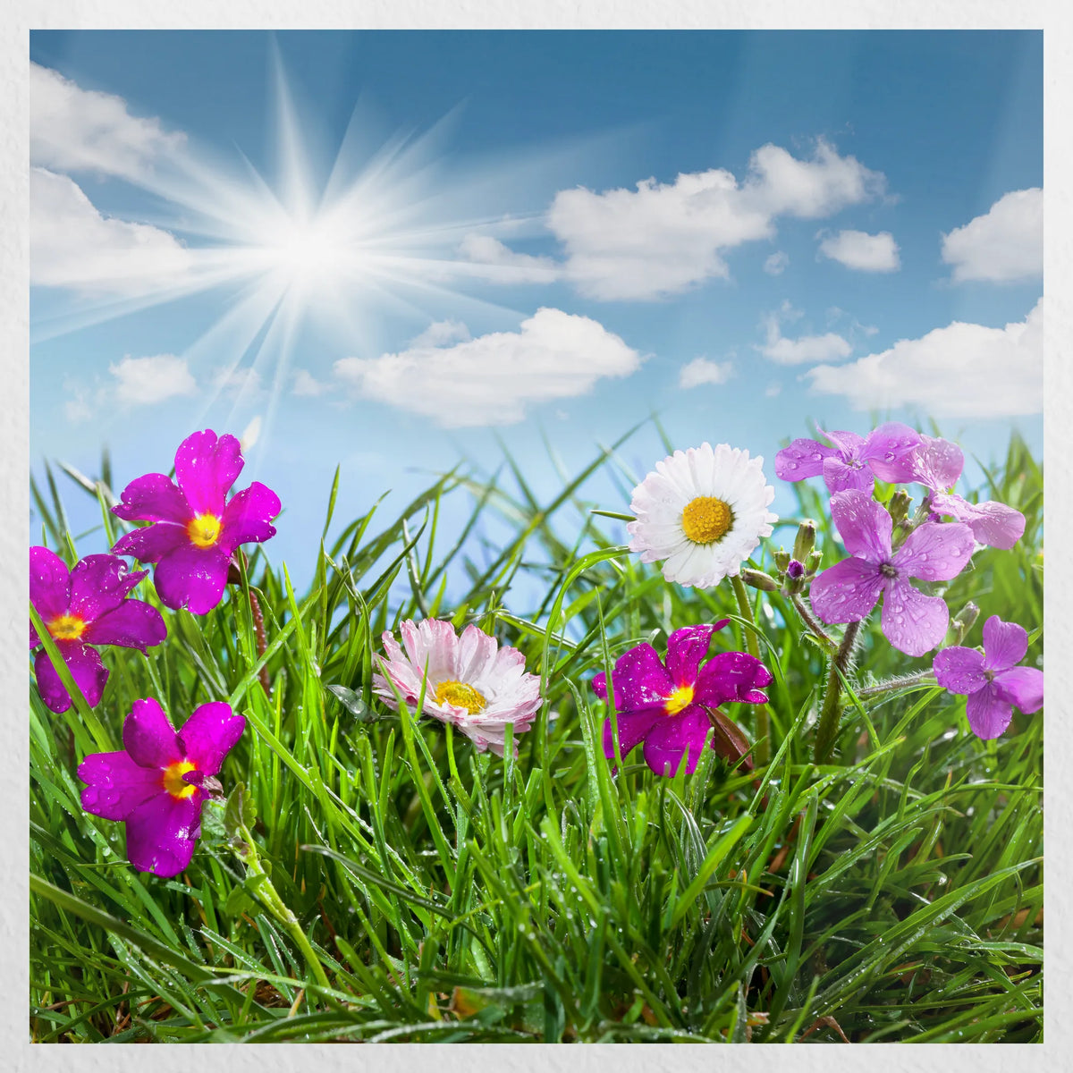 PO-050W050