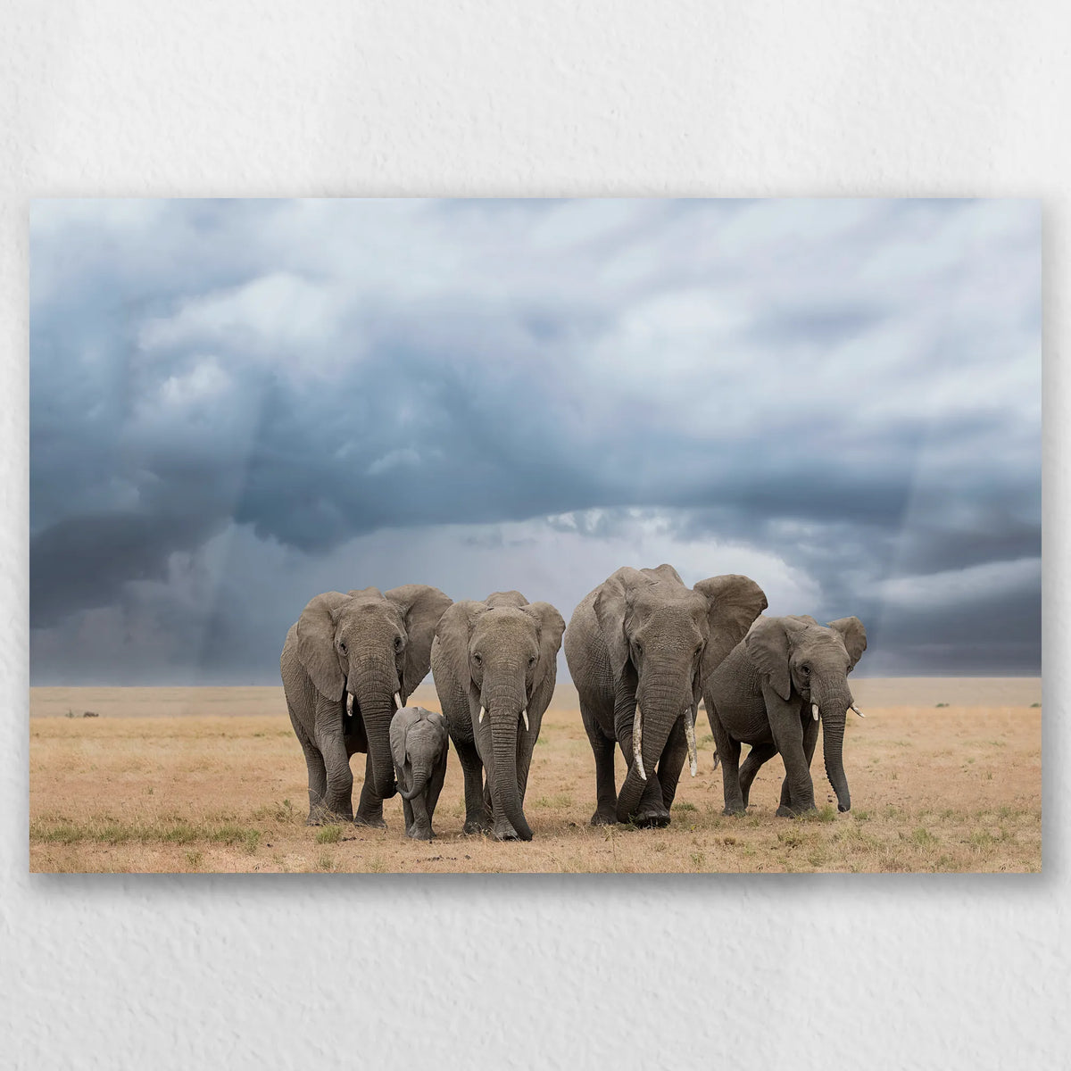 AL-045W030