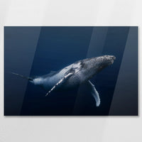 AC-090W060