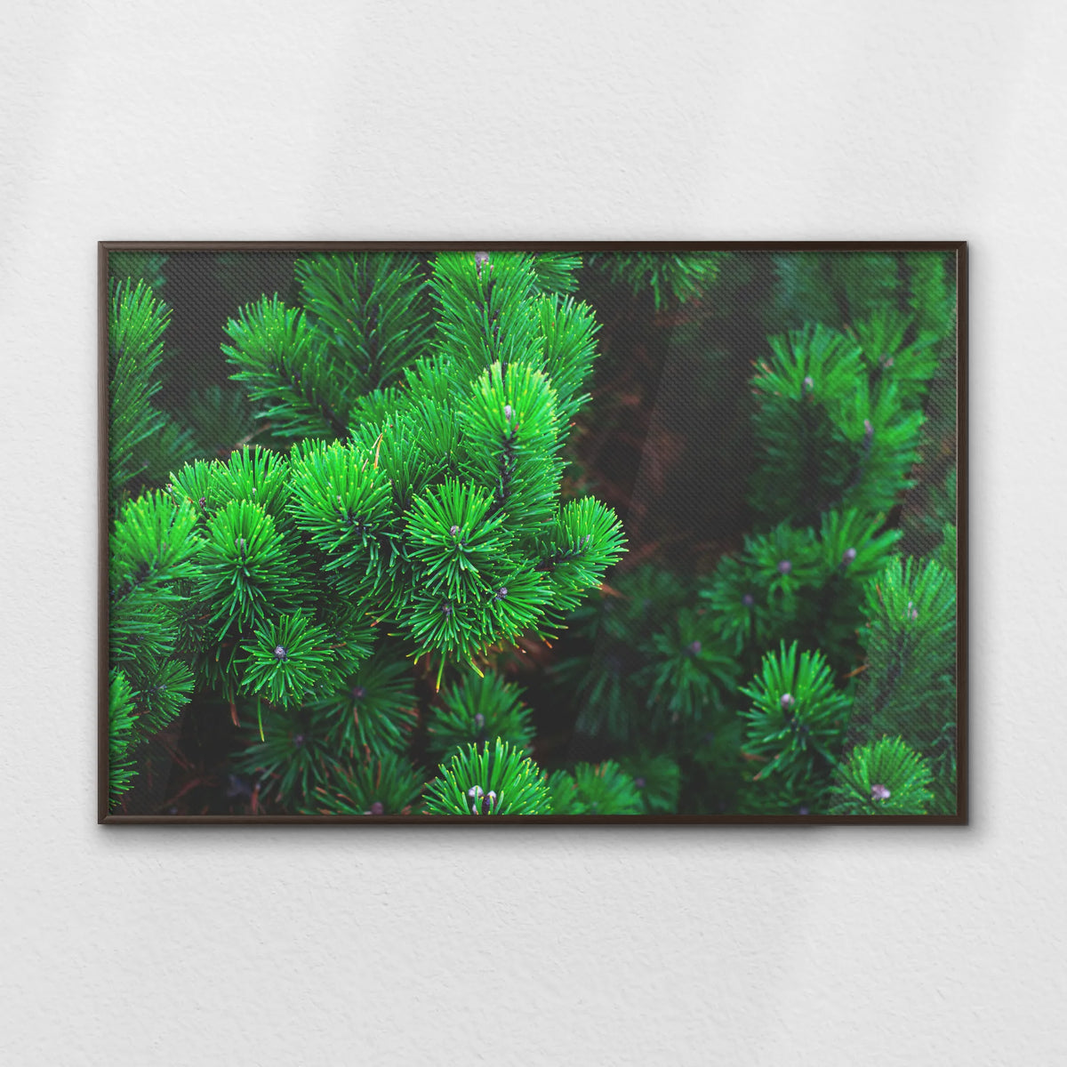 LWN120W080