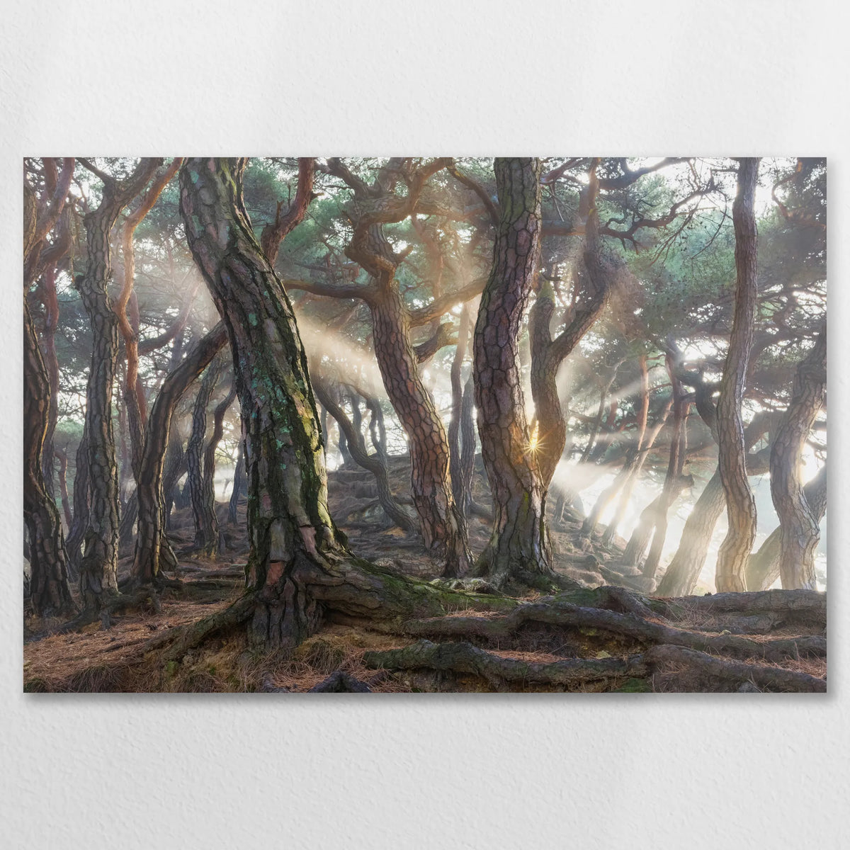 AL-090W060