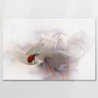 AL-075W050