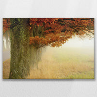 LW-075W050