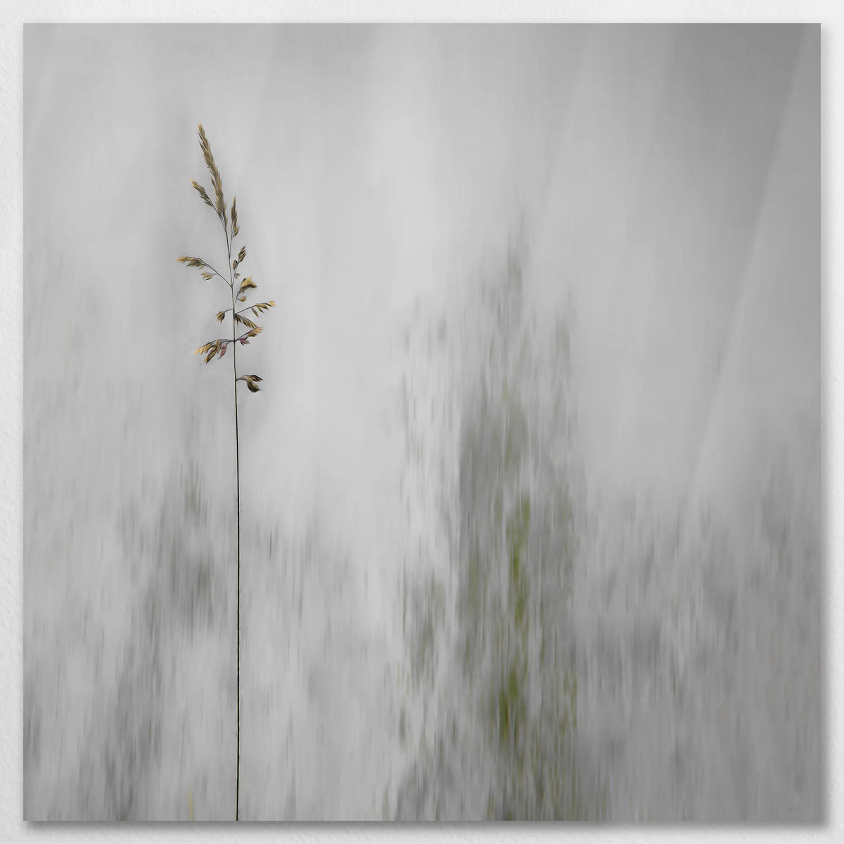 AL-070W070