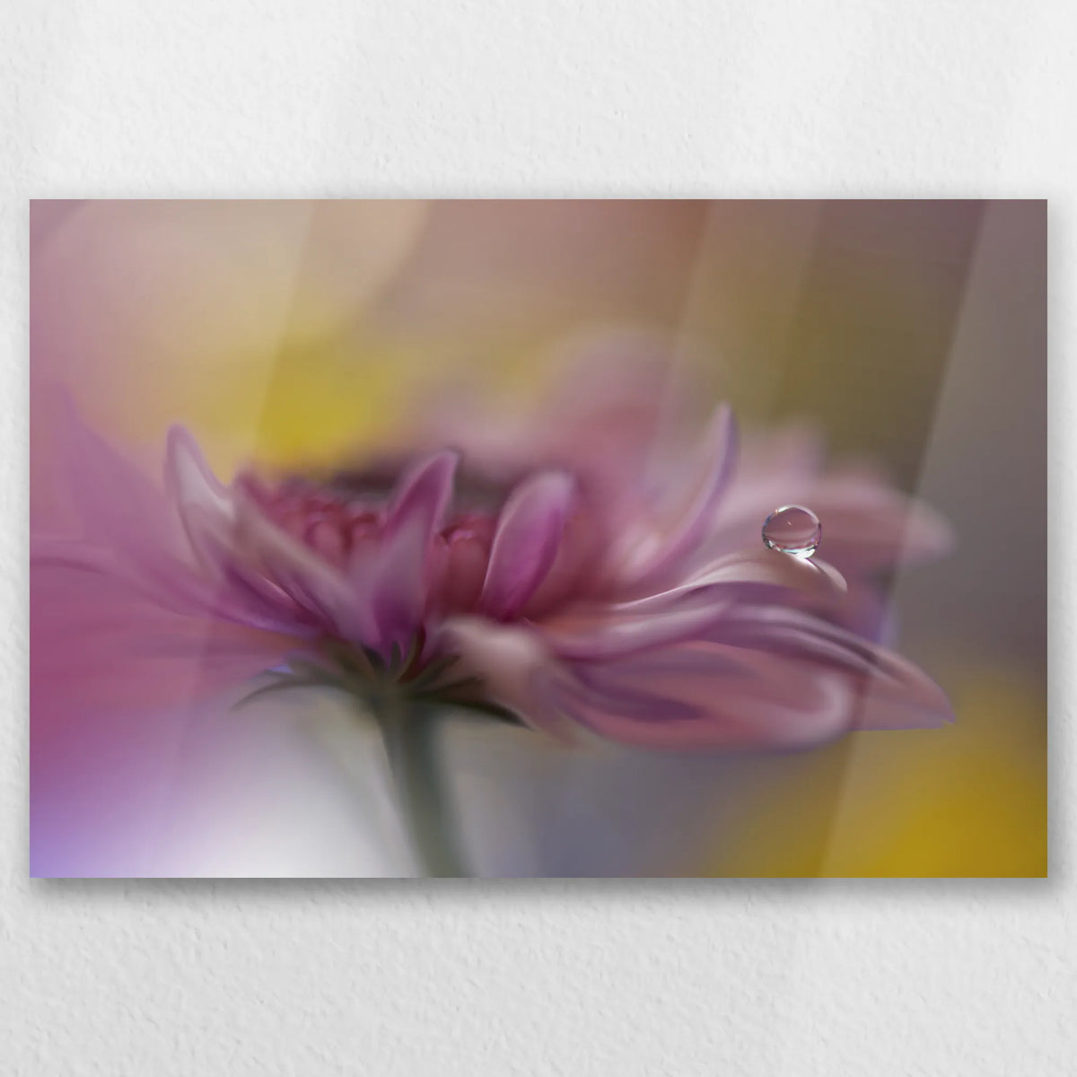 AL-030W020