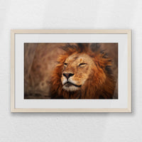 PNP060W040