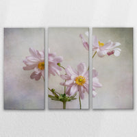 LW-120R080