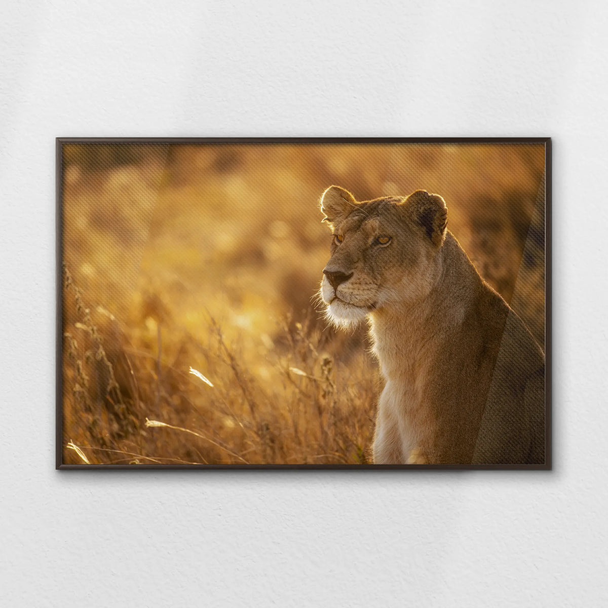 LWN120W080