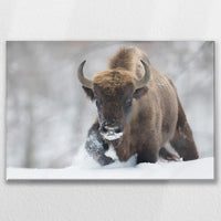 LW-075W050