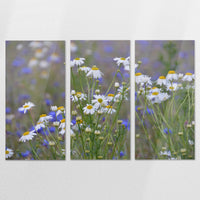 AC-210R140