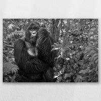 AL-045W030