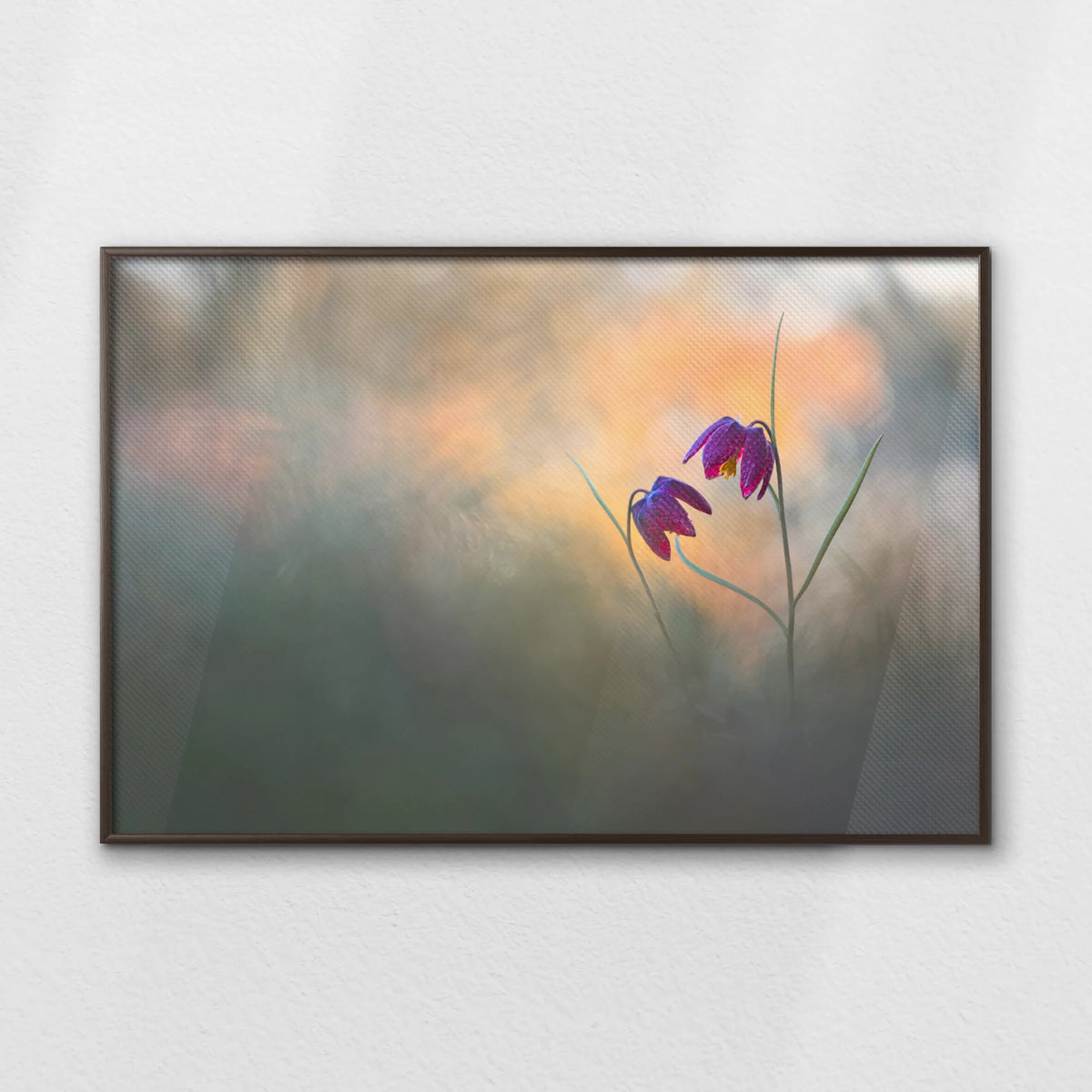 LWN120W080