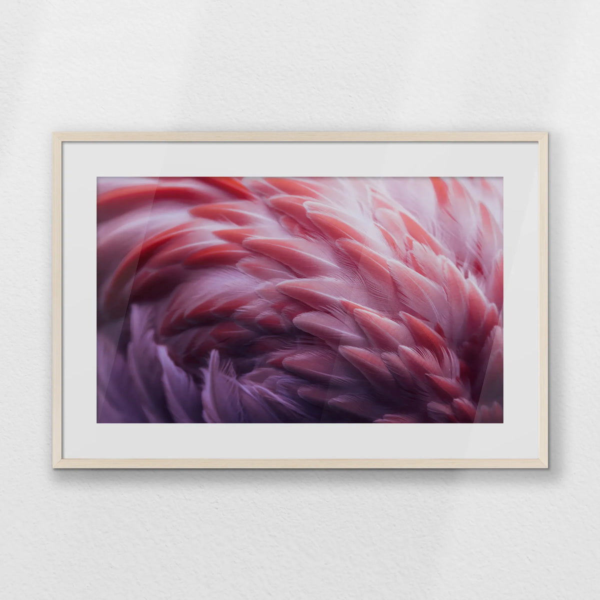 PNP093W062