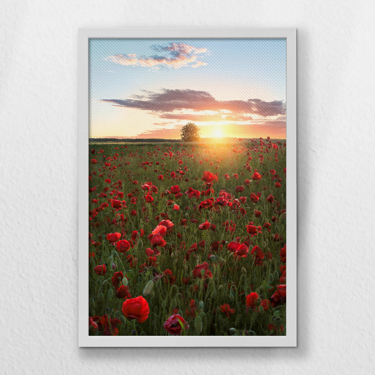 LWW040W060