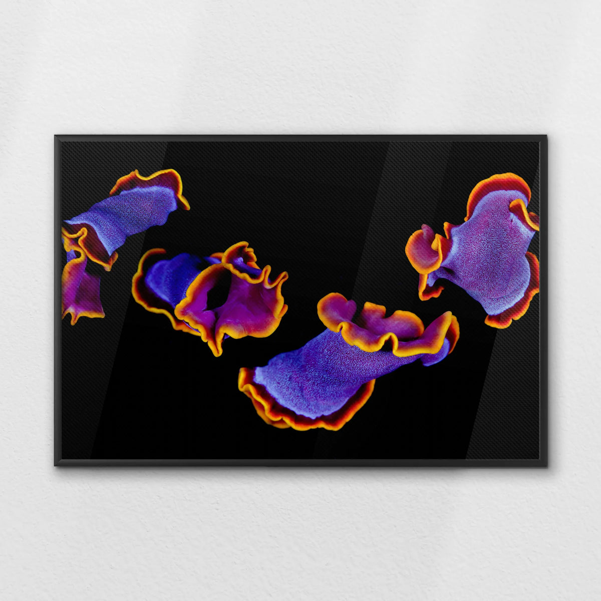 LWB120W080