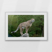 PSP100W070
