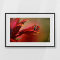 PKP093W062