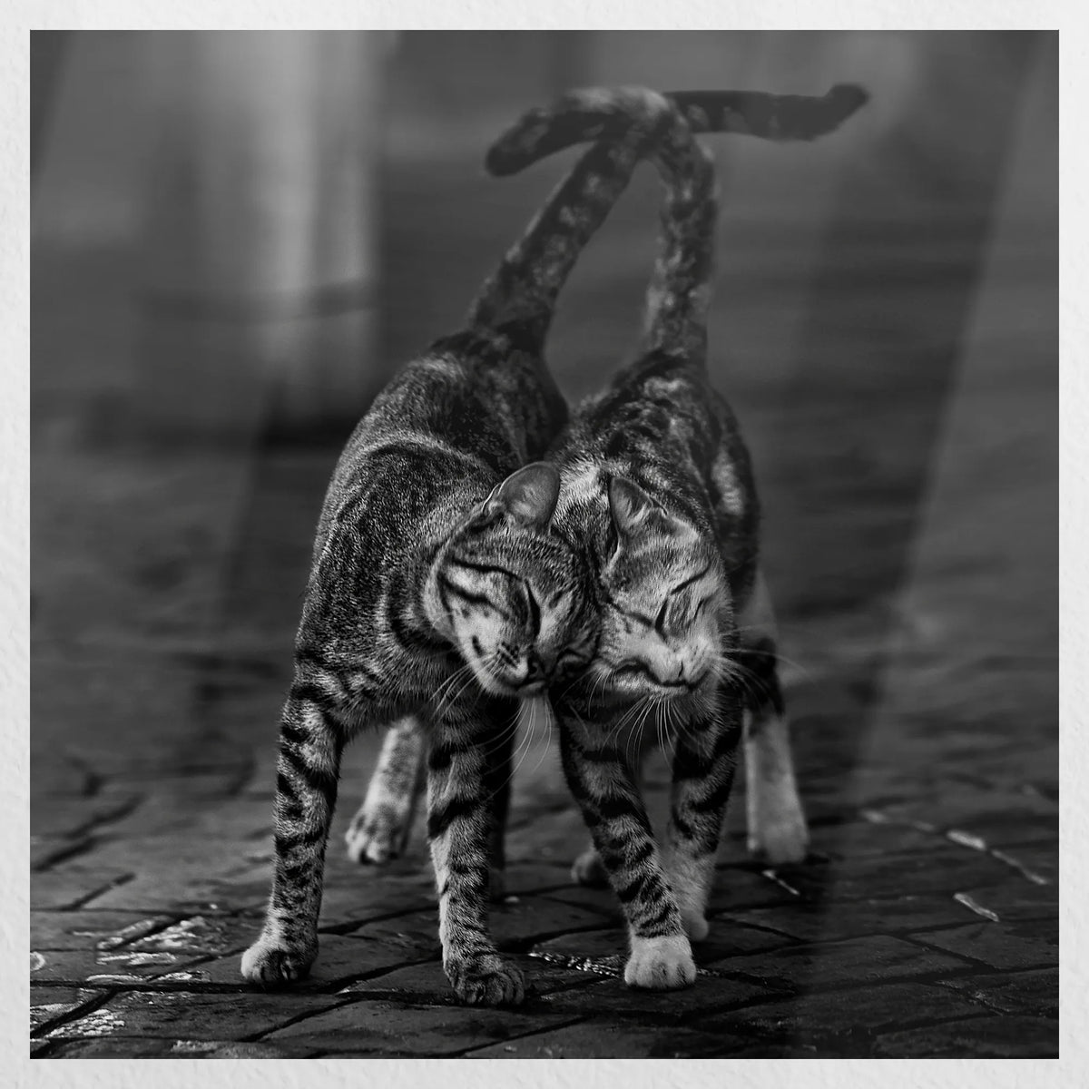 PO-040W040