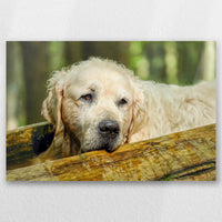 AL-045W030