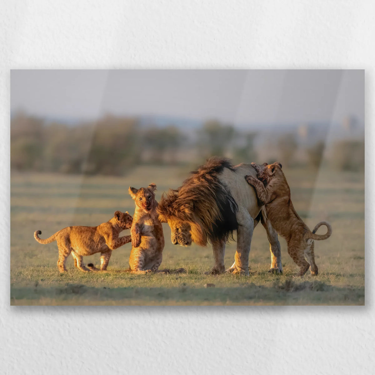 AL-030W020