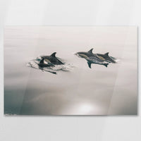 AC-075W050