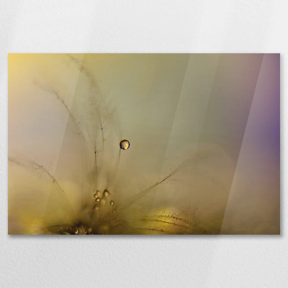 AC-075W050