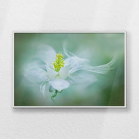 LWW120W080